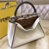 Fendi Bag 027